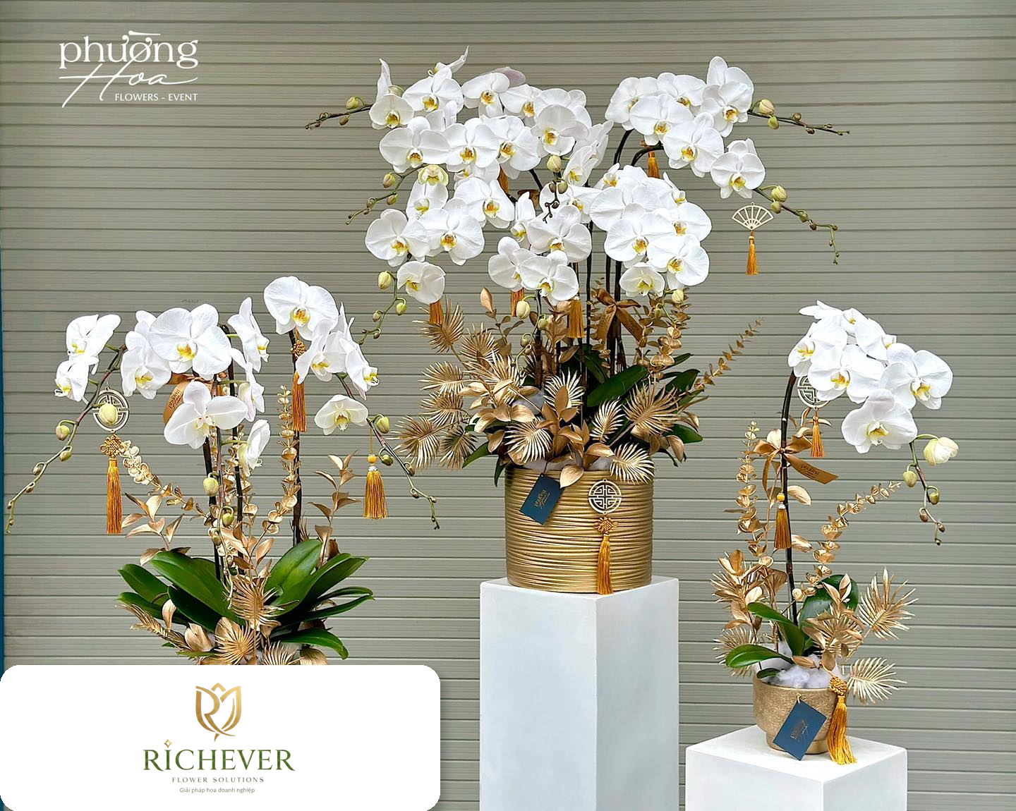 Event Selective album 4